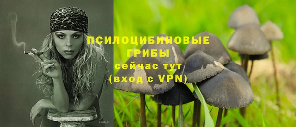 герыч Осинники