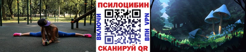 наркота Евпатория Псилоцибиновые грибы Magic Shrooms