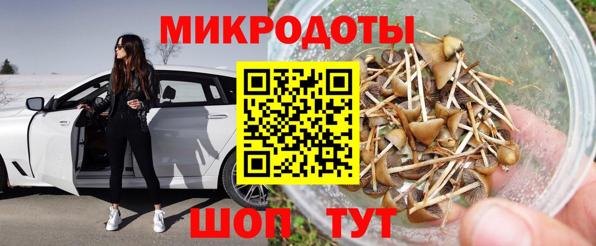 Евпатория  Псилоцибиновые грибы Psilocybe  Вход с VPN  хочу   Галлюциногенные грибы прущие грибы 