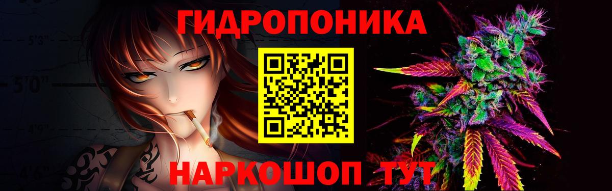 Евпатория  Конопля семена  Бошки марихуана Bruce Banner  Вход с VPN  Марихуана OG Kush  Конопля план 